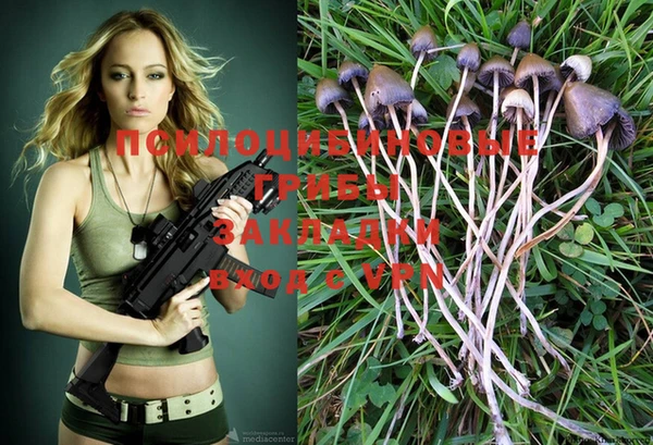 стаф Зеленокумск