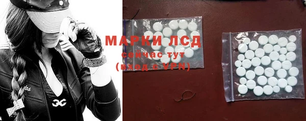 стаф Зеленокумск