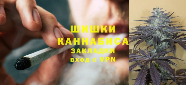 стаф Зеленокумск